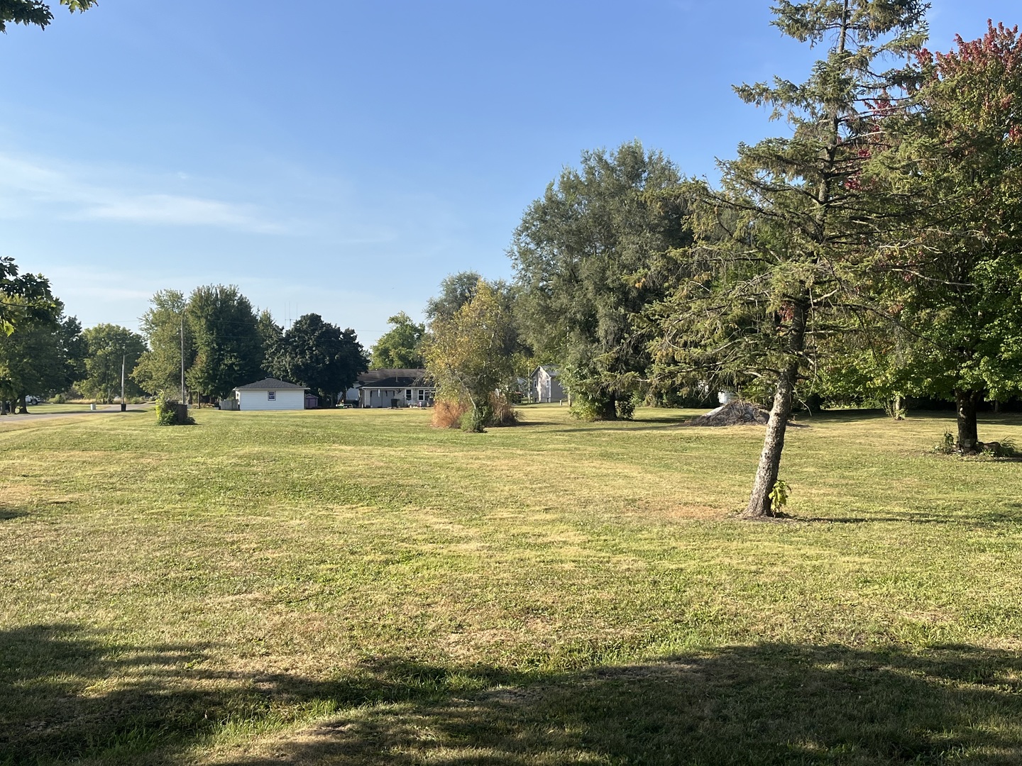 211 North 4th Street Secor, IL 61771 - Photo 2 of 4