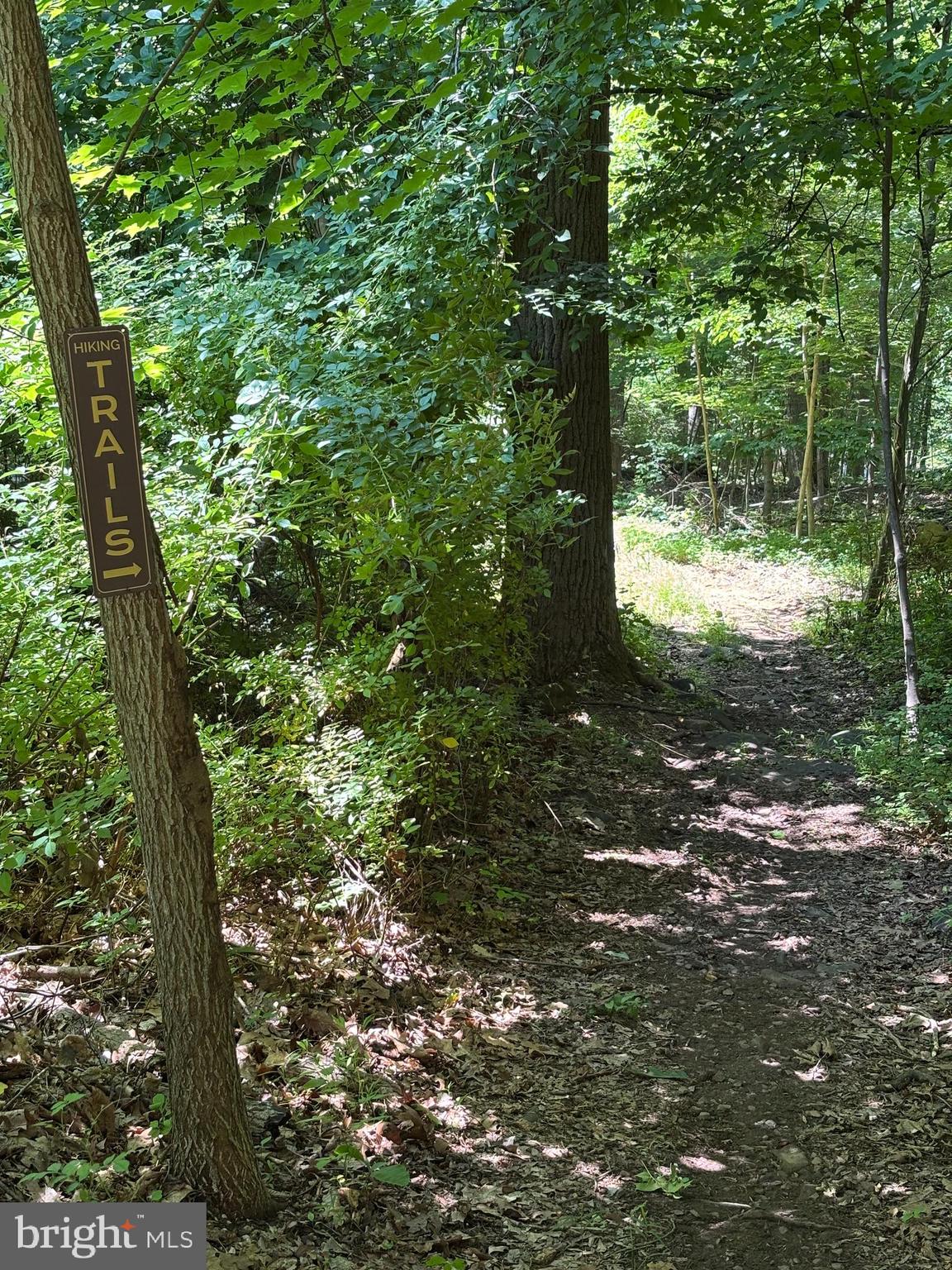 1125 Payne Road Green Lane, PA 18054 - Photo 7 of 47 Trails located on the property