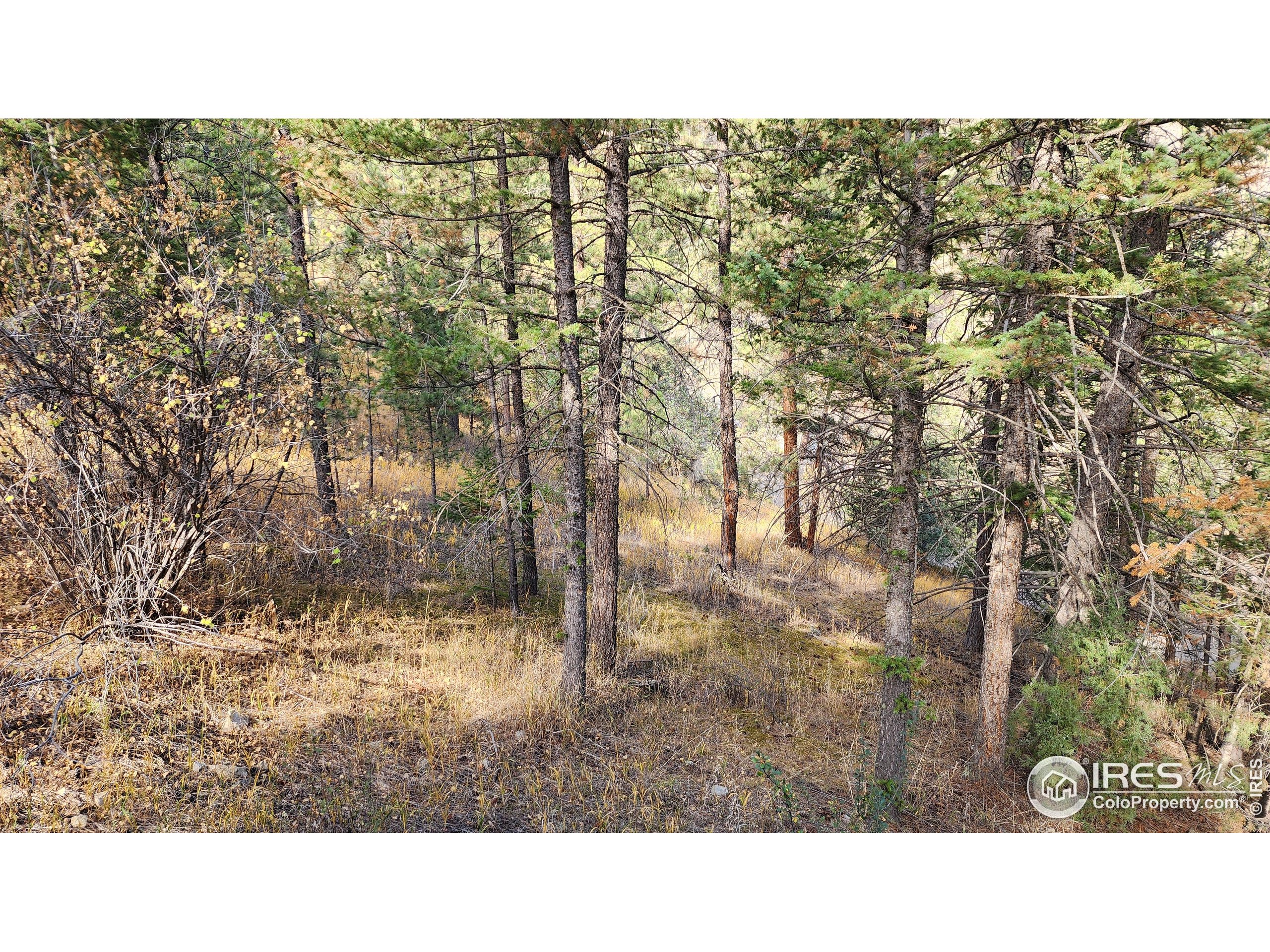 84 Copper Hill Road Drake, CO 80515 - Photo 15 of 28 a black and white photo of a house
