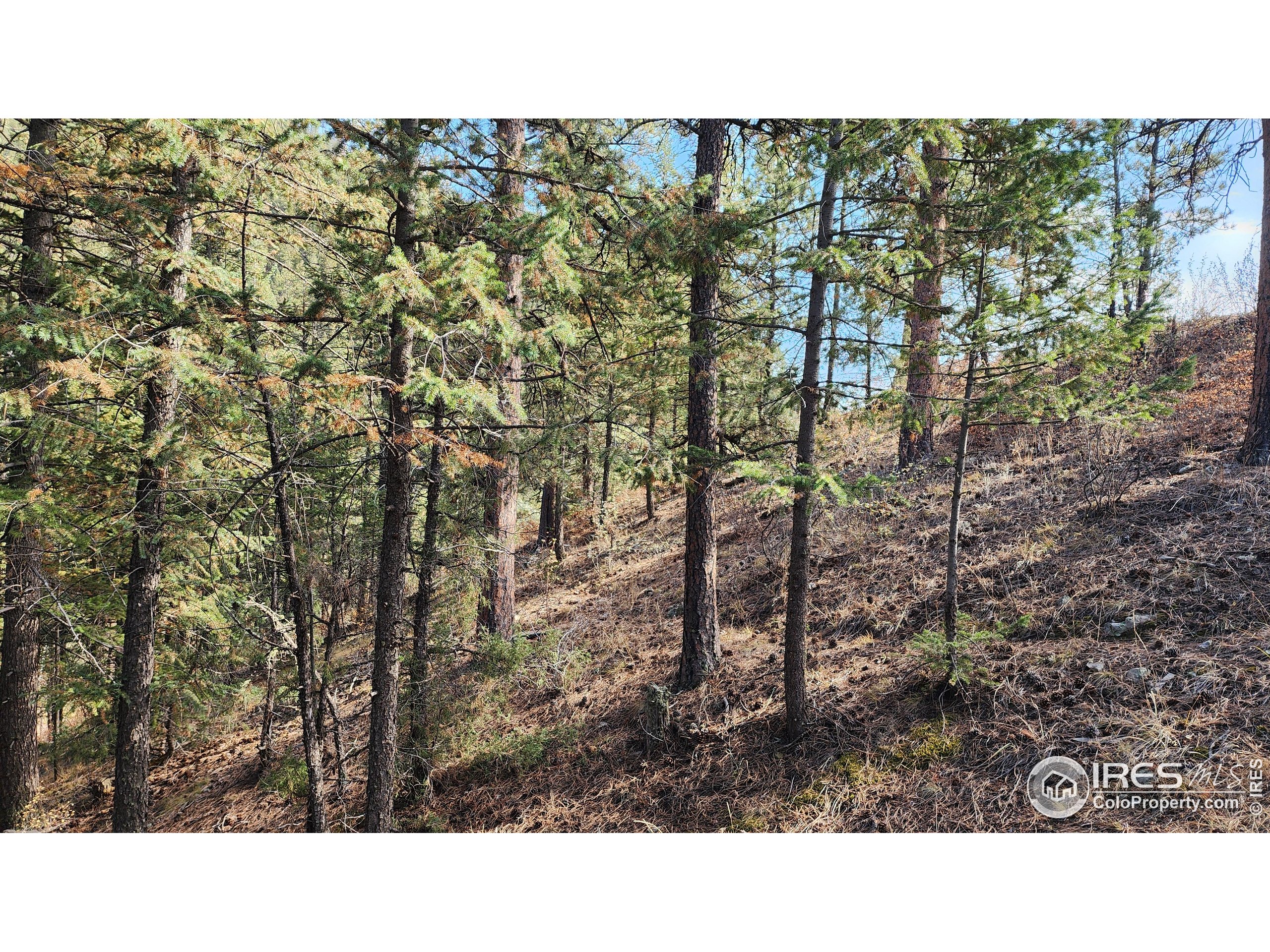 84 Copper Hill Road Drake, CO 80515 - Photo 16 of 28 a black and white photo of a house