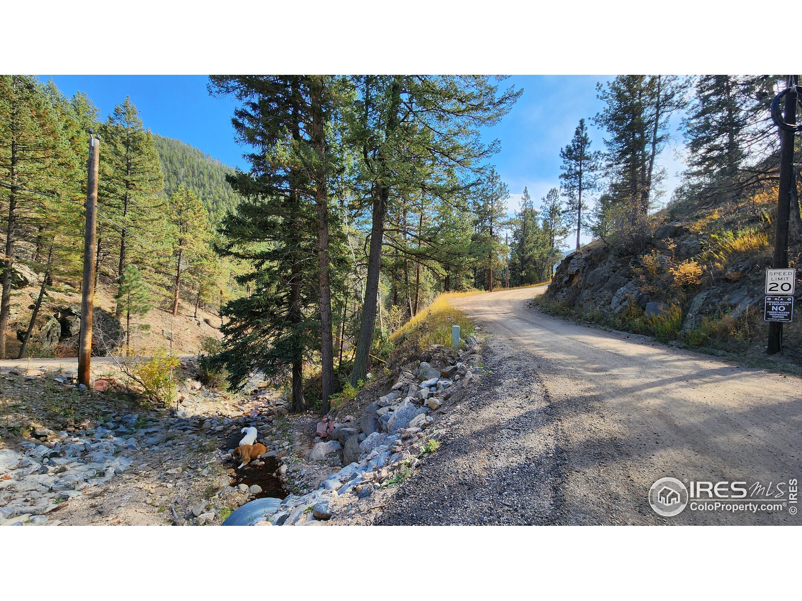 84 Copper Hill Road Drake, CO 80515 - Photo 17 of 28 a view of a backyard
