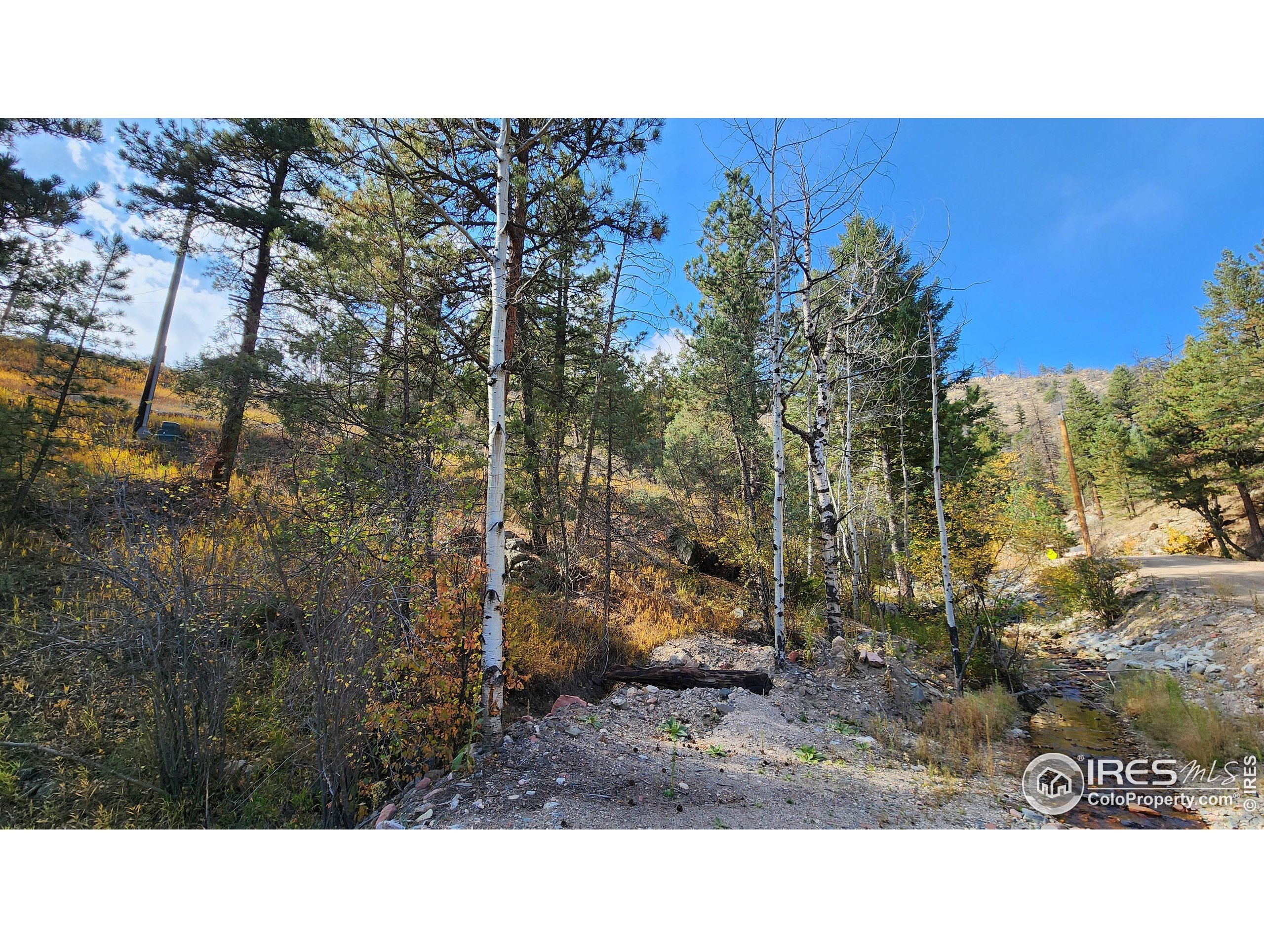 84 Copper Hill Road Drake, CO 80515 - Photo 20 of 28 a open area with trees in front of it