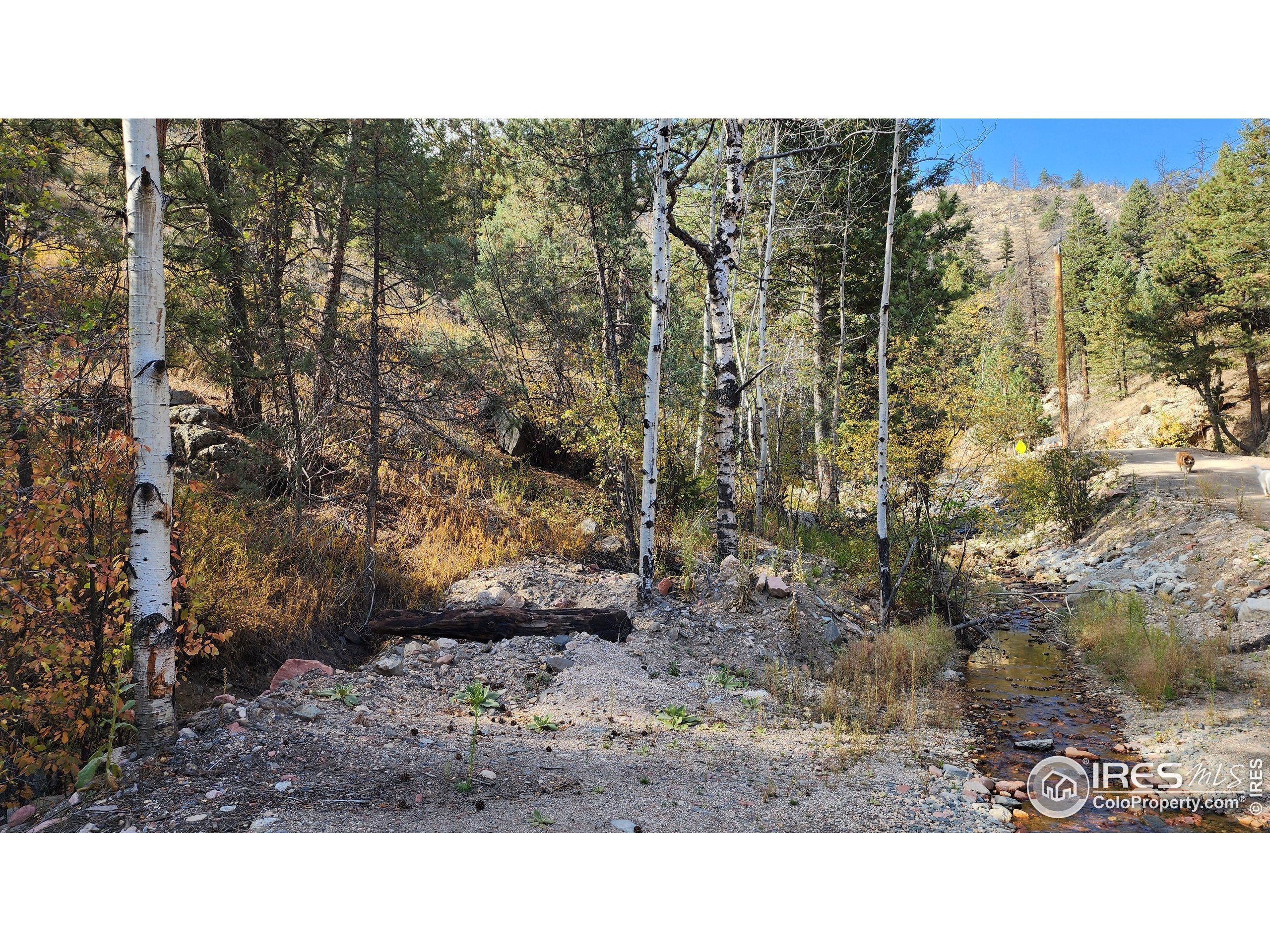 84 Copper Hill Road Drake, CO 80515 - Photo 21 of 28 a black and white photo of a house