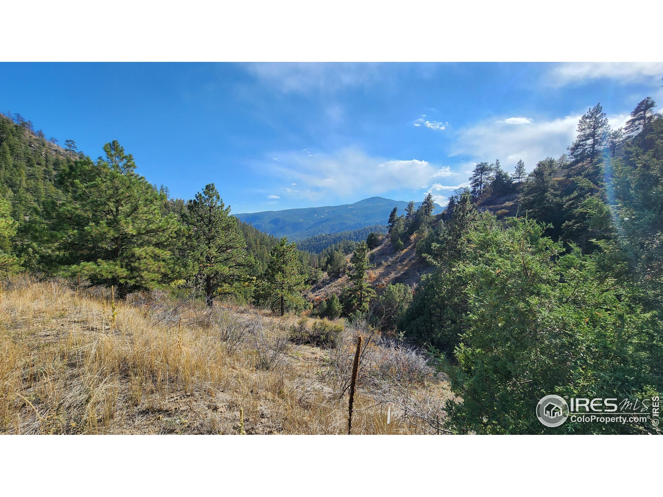 84 Copper Hill Road Drake, CO 80515 - Photo 22 of 28 a view of a city