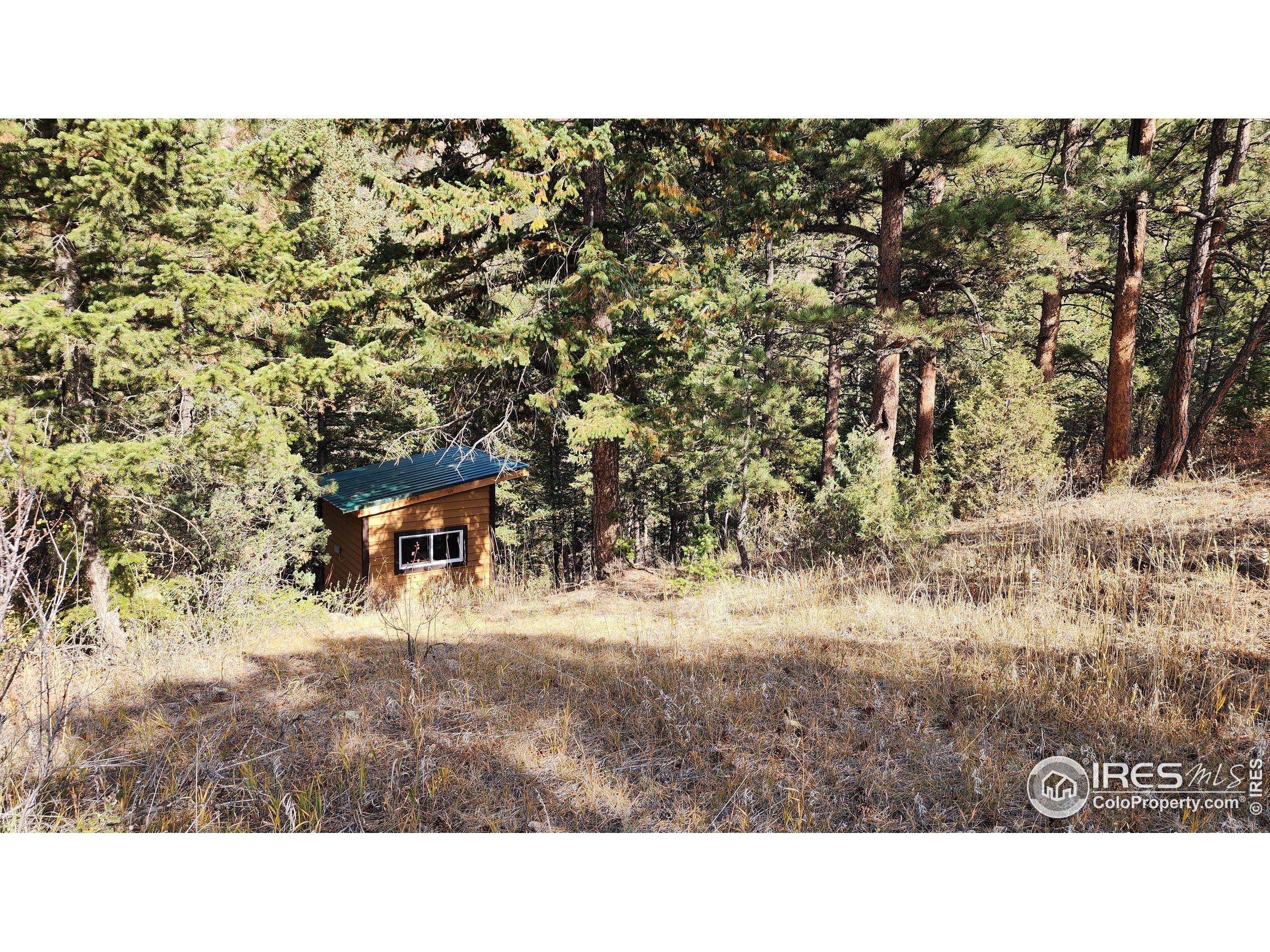 84 Copper Hill Road Drake, CO 80515 - Photo 23 of 28 a black and white photo of a house