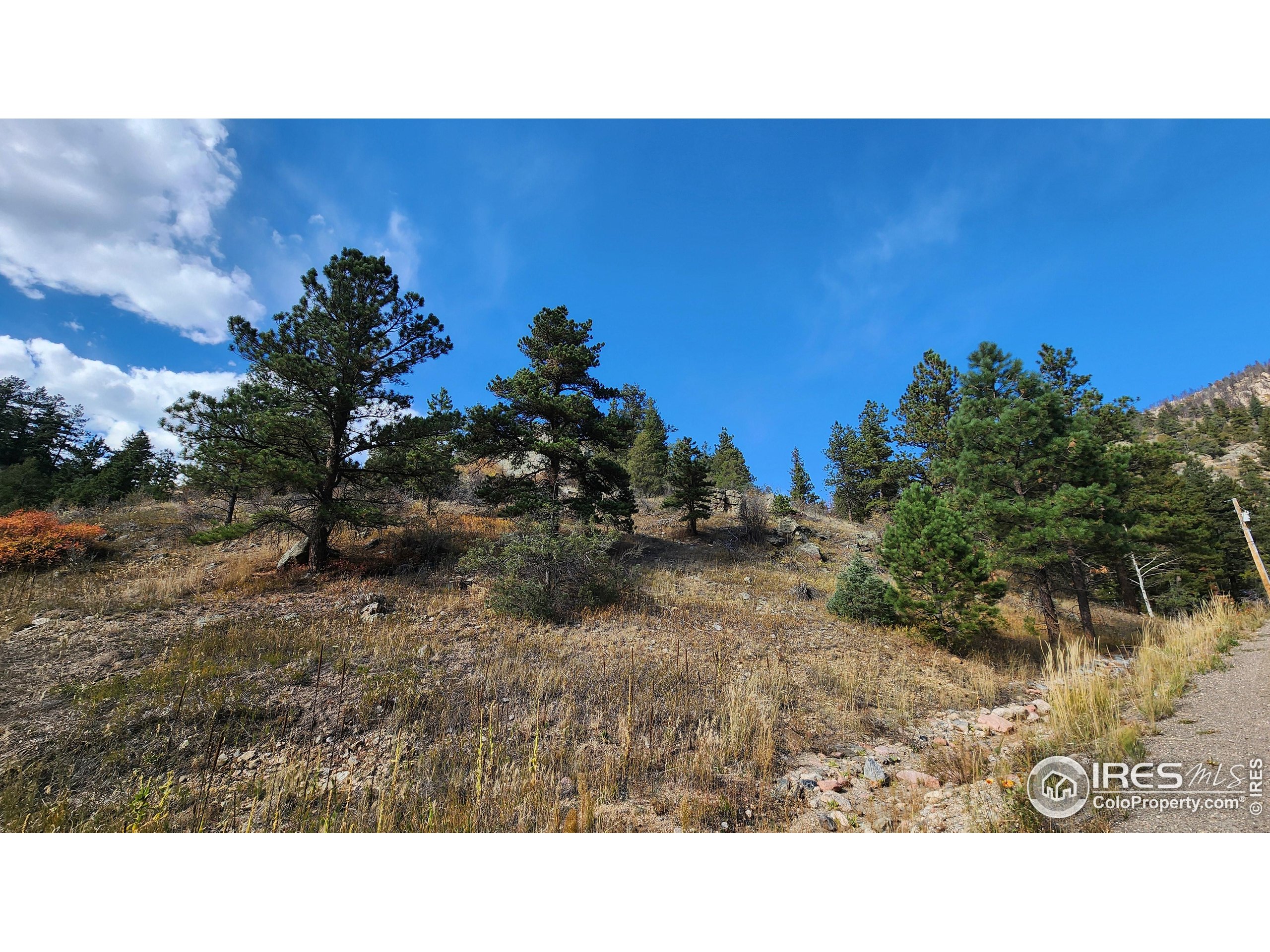 84 Copper Hill Road Drake, CO 80515 - Photo 26 of 28 a black and white photo of a big room