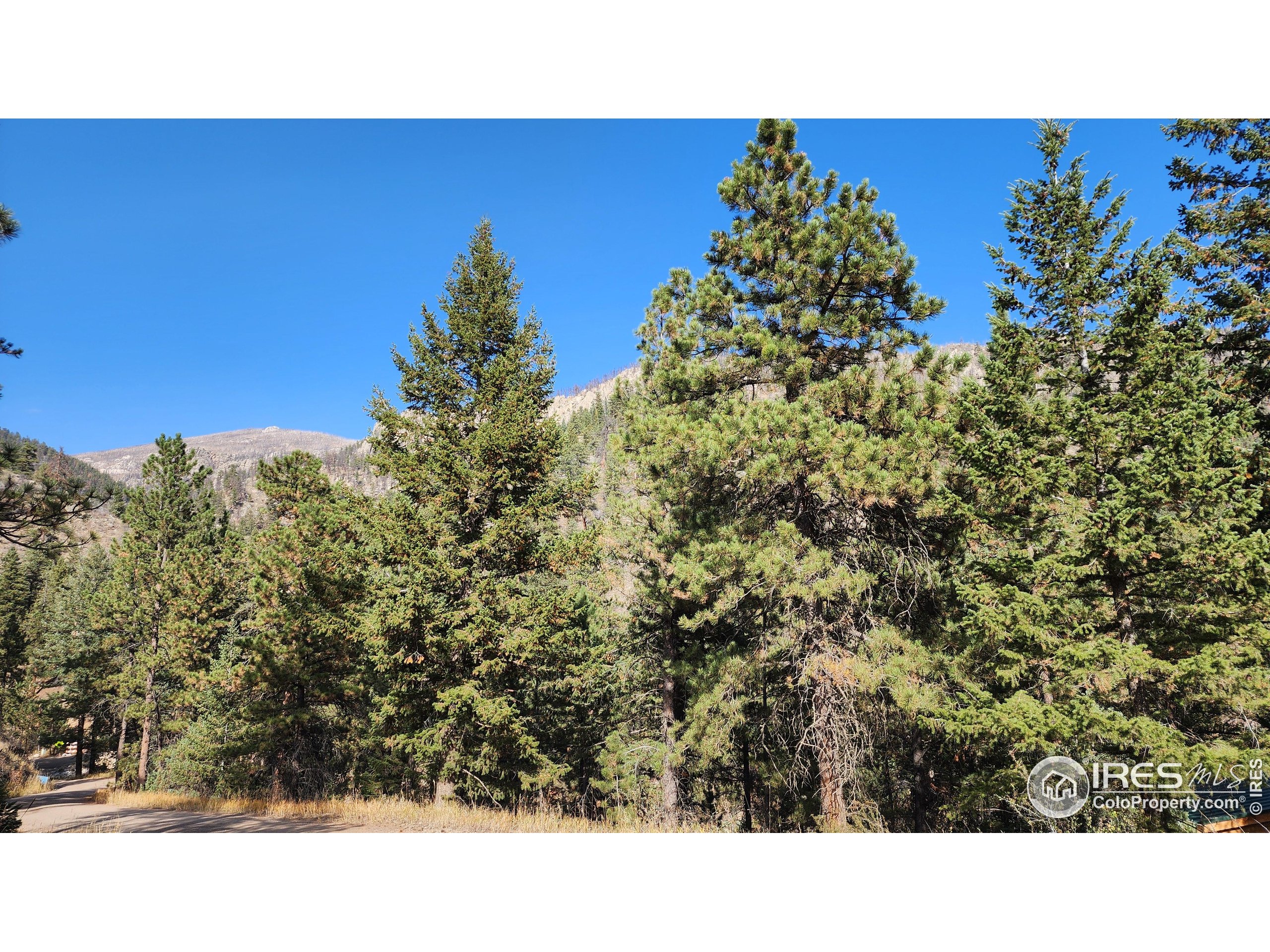 84 Copper Hill Road Drake, CO 80515 - Photo 27 of 28 a open area with trees in the background