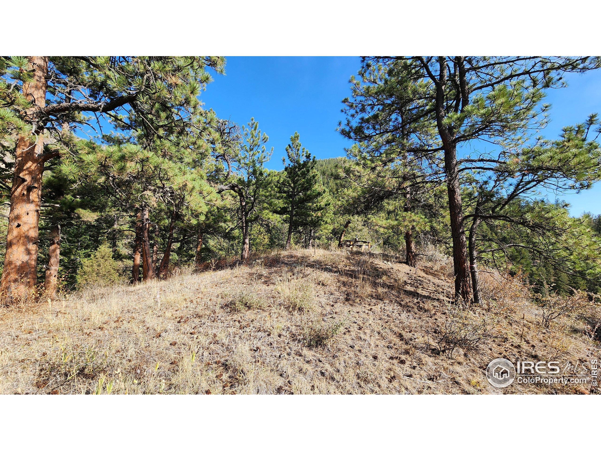 84 Copper Hill Road Drake, CO 80515 - Photo 4 of 28 a black and white photo of a house