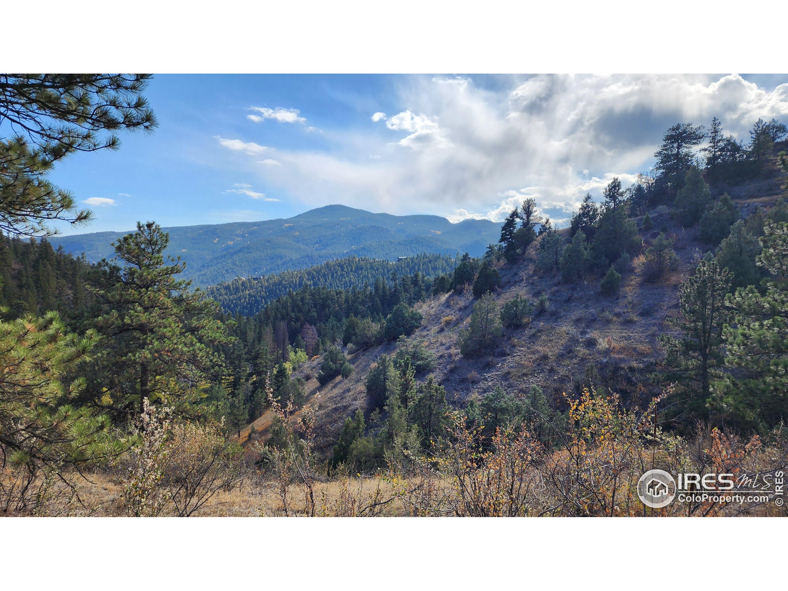 84 Copper Hill Road Drake, CO 80515 - Photo 7 of 28 a black and white photo of a house