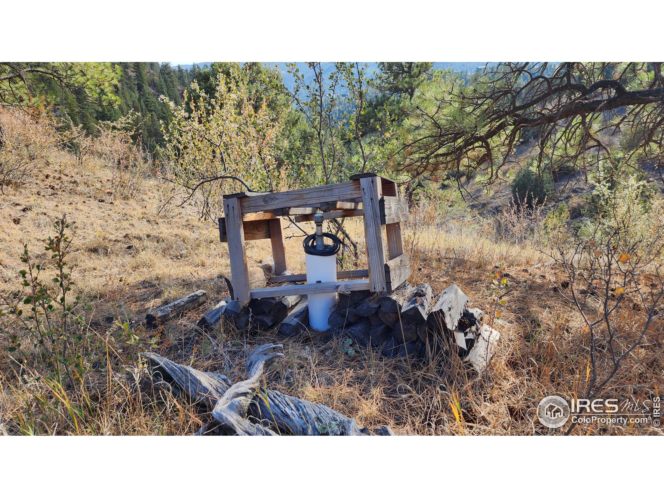 84 Copper Hill Road Drake, CO 80515 - Photo 8 of 28 a black and white photo of a garden
