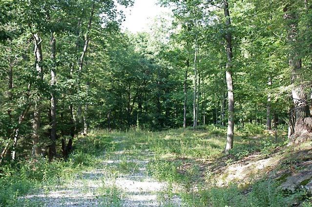 Wakeman Hill Road Sherman, CT 06784 - Photo 1 of 1 a big yard with lots of green space and plants