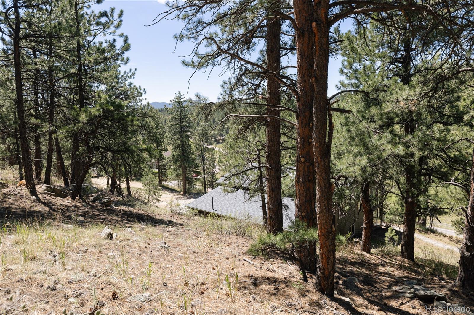 1898 Kerr Gulch Road Evergreen, CO 80439 - Photo 28 of 32