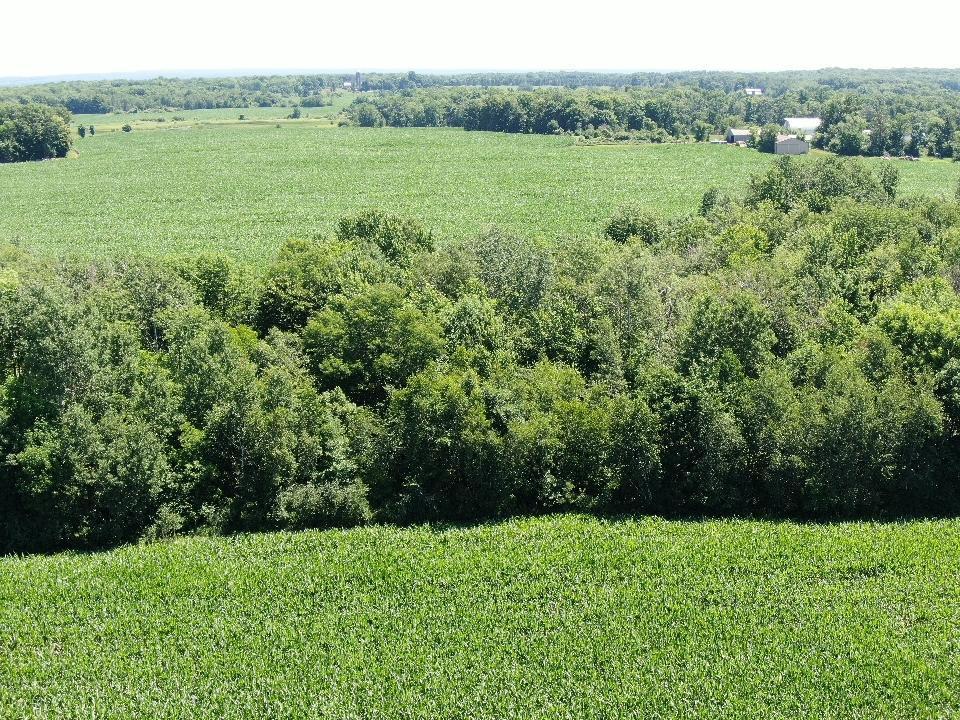 0 110th Frederic, WI 54837 - Photo 8 of 11