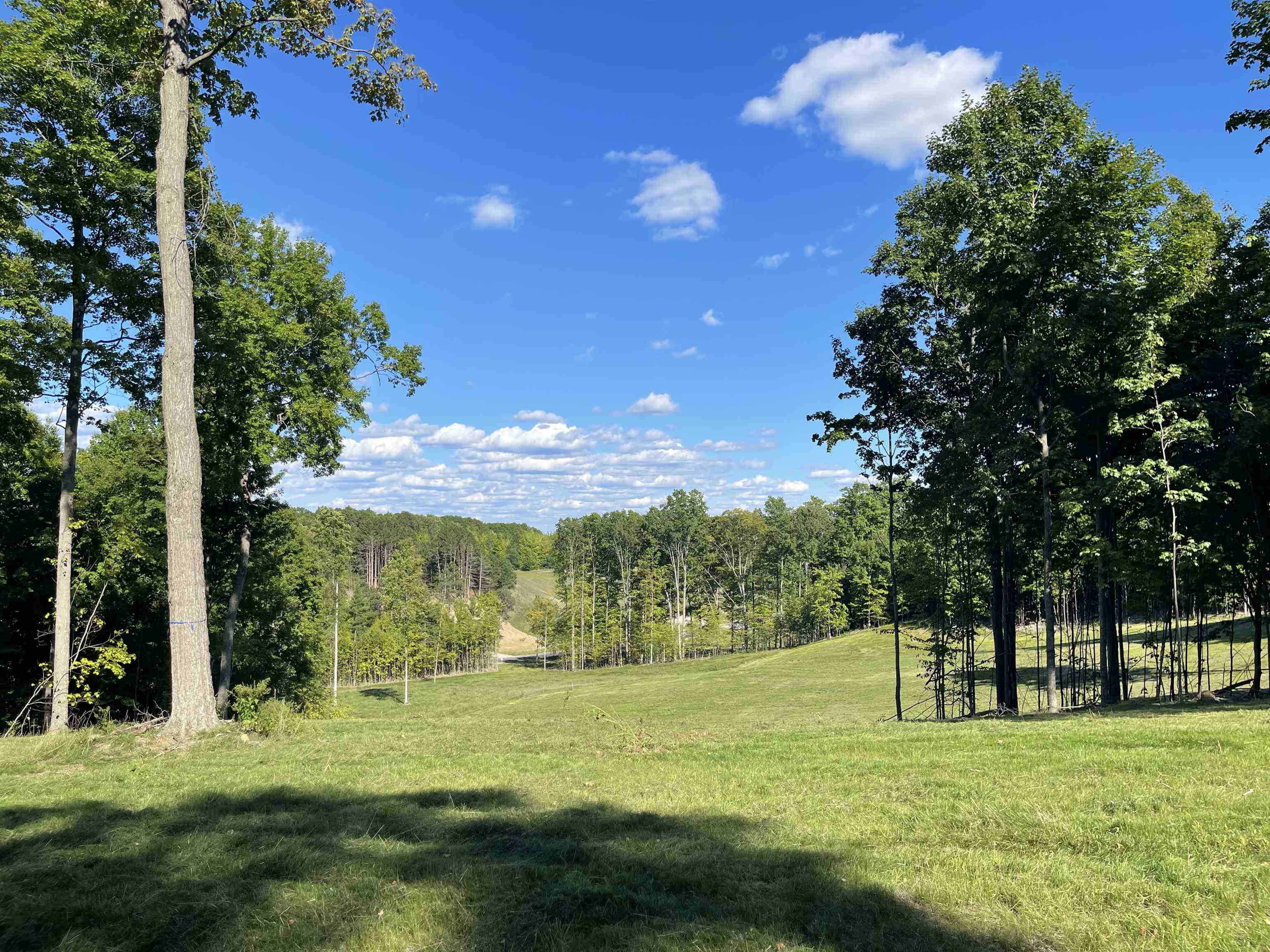 6325 Mountain Sky Road, Unit LOT 70 Kingsley, MI 49649 - Photo 9 of 31