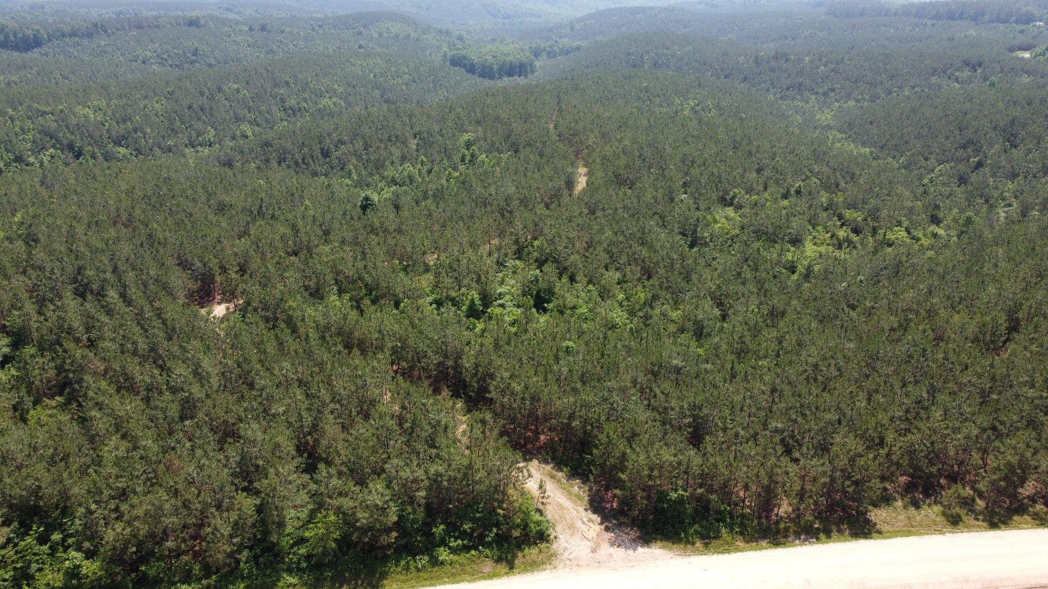 0 Sinking Creek Road Linden, TN 37096 - Photo 5 of 8 Gallery Image 5