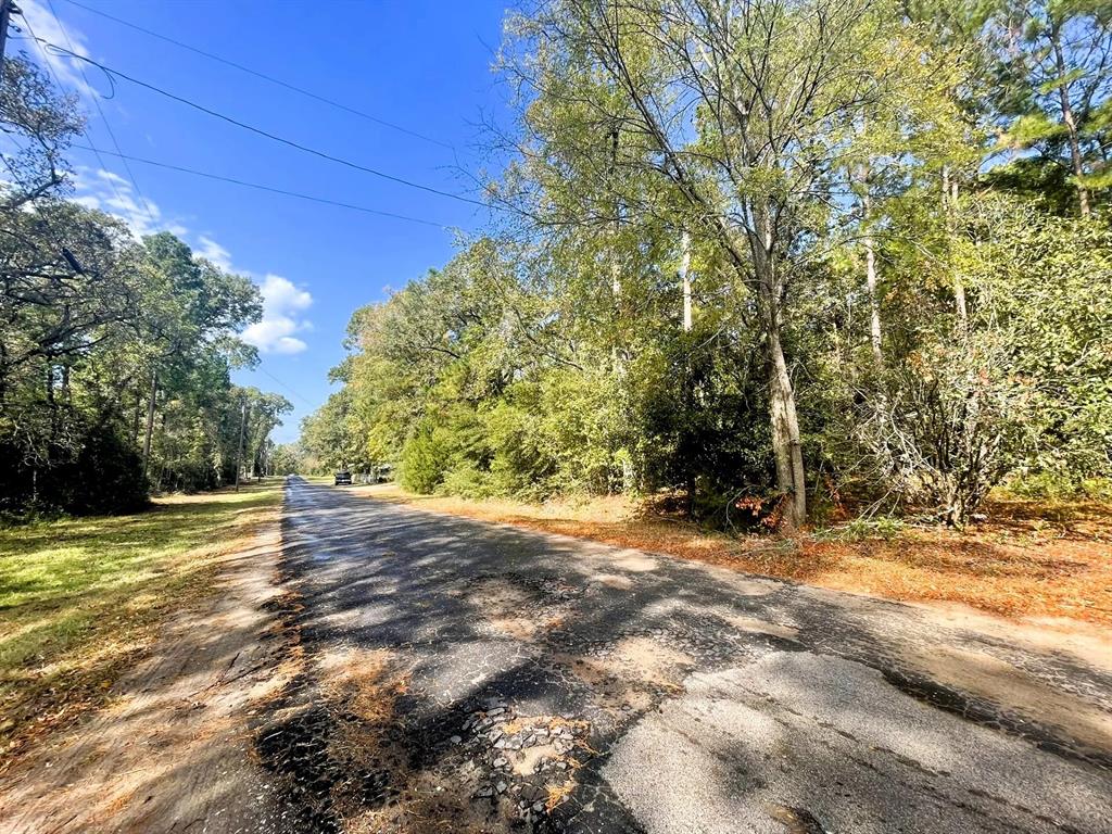 307 Cherokee Drive Trinity, TX 75862 - Photo 12 of 18