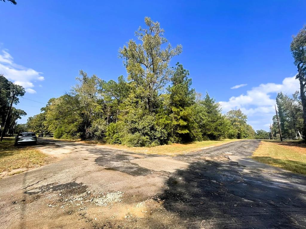 307 Cherokee Drive Trinity, TX 75862 - Photo 13 of 18