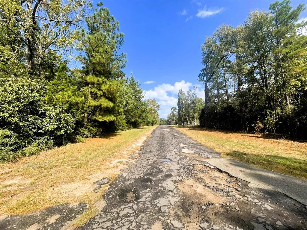 307 Cherokee Drive Trinity, TX 75862 - Photo 14 of 18