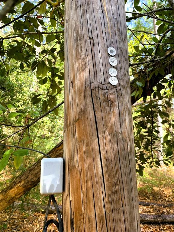 307 Cherokee Drive Trinity, TX 75862 - Photo 15 of 18