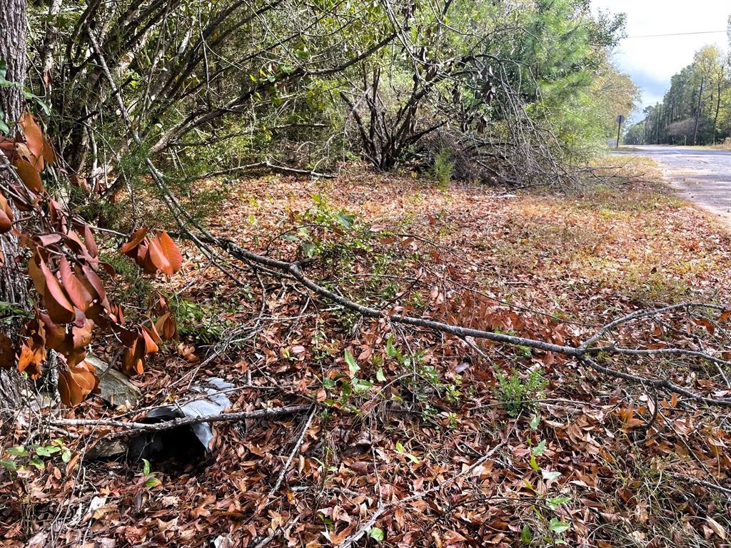 307 Cherokee Drive Trinity, TX 75862 - Photo 18 of 18