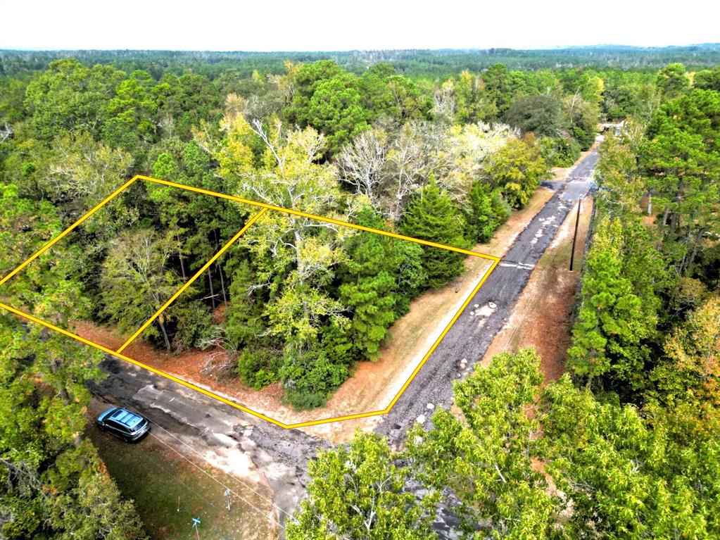 307 Cherokee Drive Trinity, TX 75862 - Photo 4 of 18