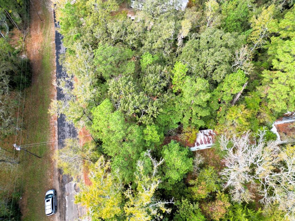 307 Cherokee Drive Trinity, TX 75862 - Photo 6 of 18