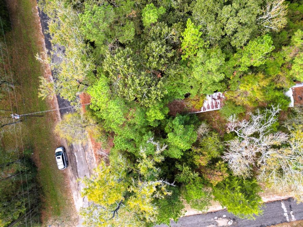 307 Cherokee Drive Trinity, TX 75862 - Photo 7 of 18