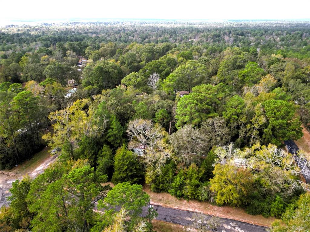 307 Cherokee Drive Trinity, TX 75862 - Photo 9 of 18