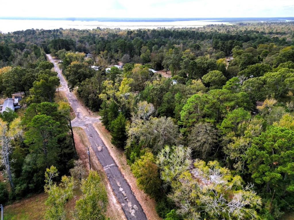 307 Cherokee Drive Trinity, TX 75862 - Photo 10 of 18