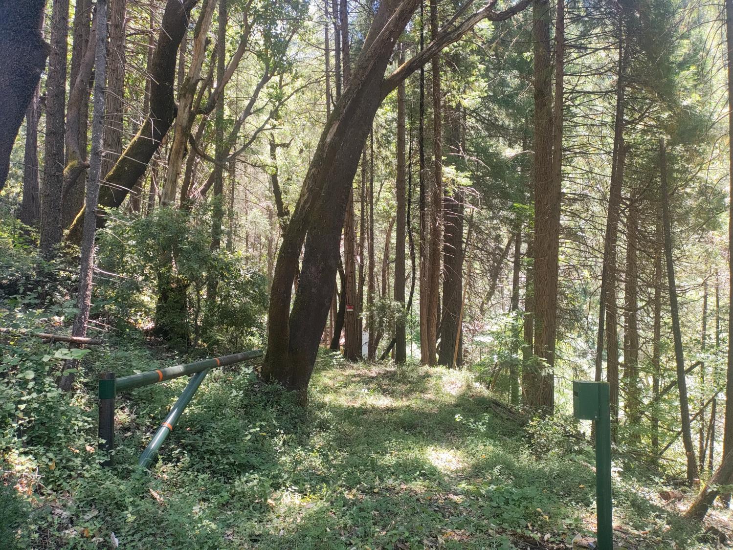 18290 Backwoods Road Nevada City, CA 95959 - Photo 4 of 24