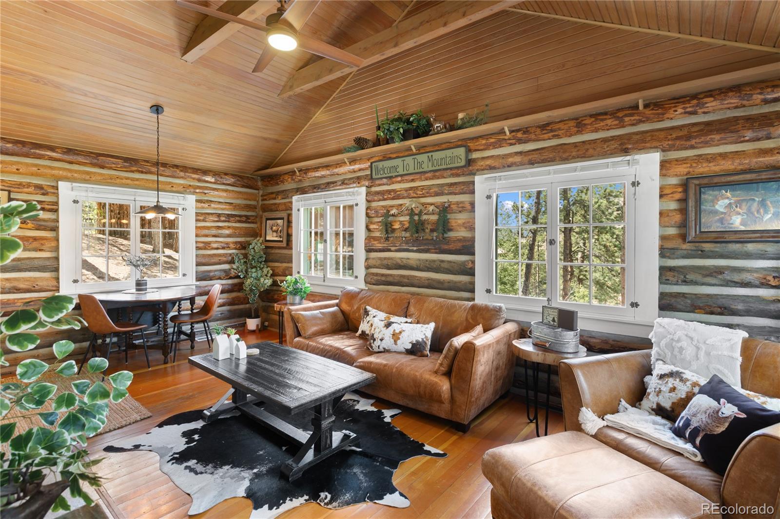 9120 Ute Road Cascade, CO 80809 - Photo 12 of 38 Gallery Image 12