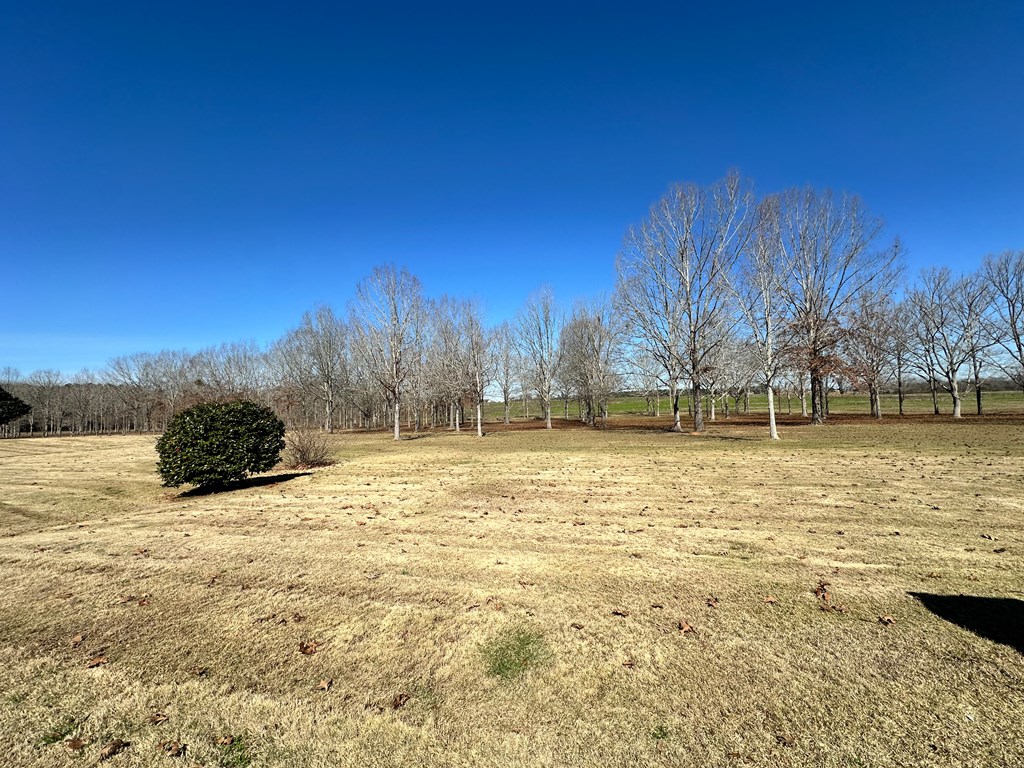 2023 J J Saunders Road Slocomb, AL 36375 - Photo 43 of 48