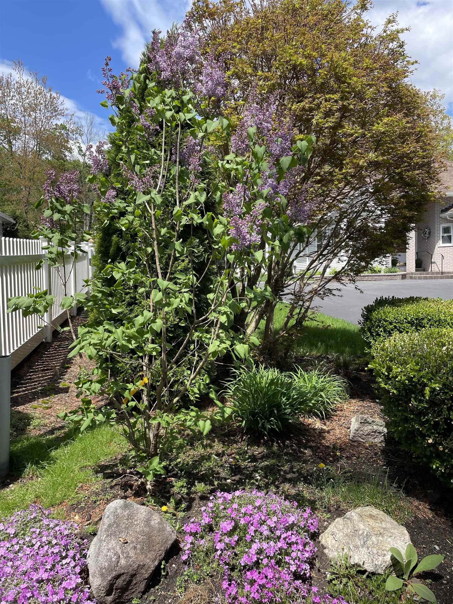 44 Cricket Lane Manchester, NH 03104 - Photo 43 of 52