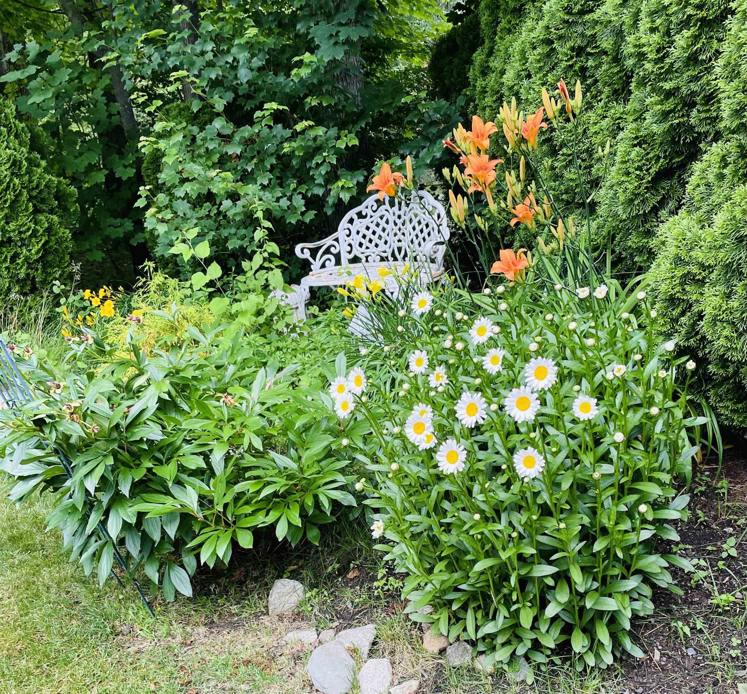 44 Cricket Lane Manchester, NH 03104 - Photo 44 of 52