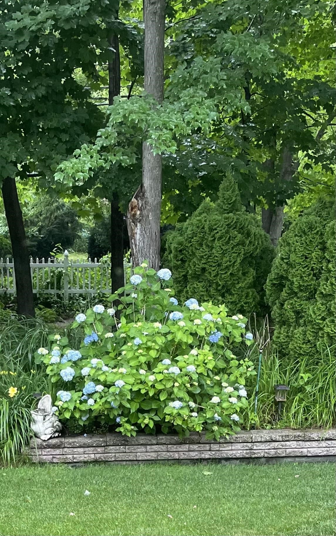 44 Cricket Lane Manchester, NH 03104 - Photo 45 of 52