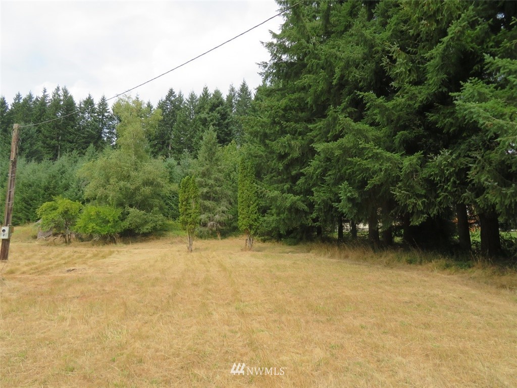 2230 Coal Creek Road Longview, WA 98632 - Photo 10 of 17 Gallery Image 10