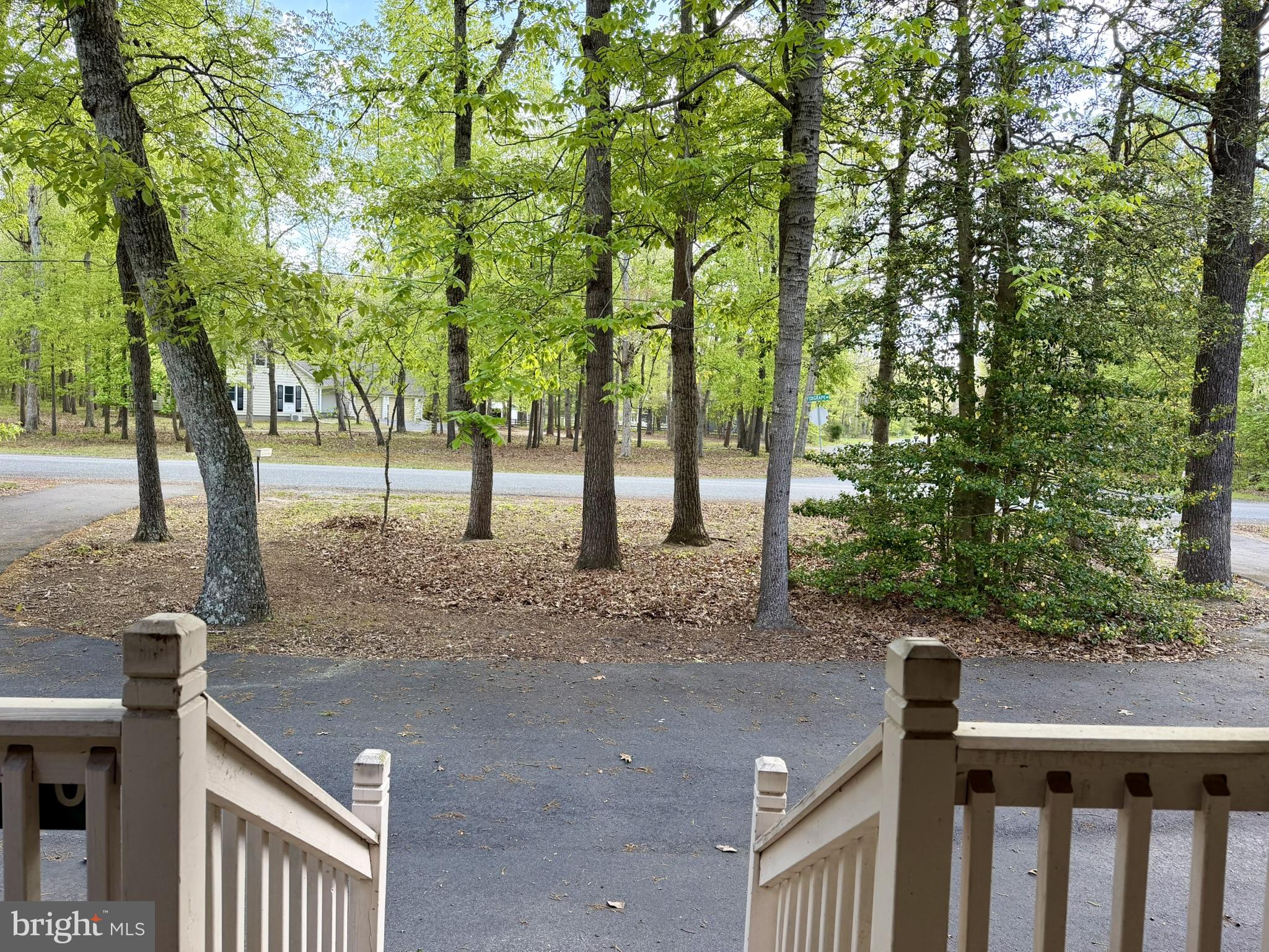 25910 Fox Grape Road Greensboro, MD 21639 - Photo 11 of 27 a backyard of a house with lots of green space