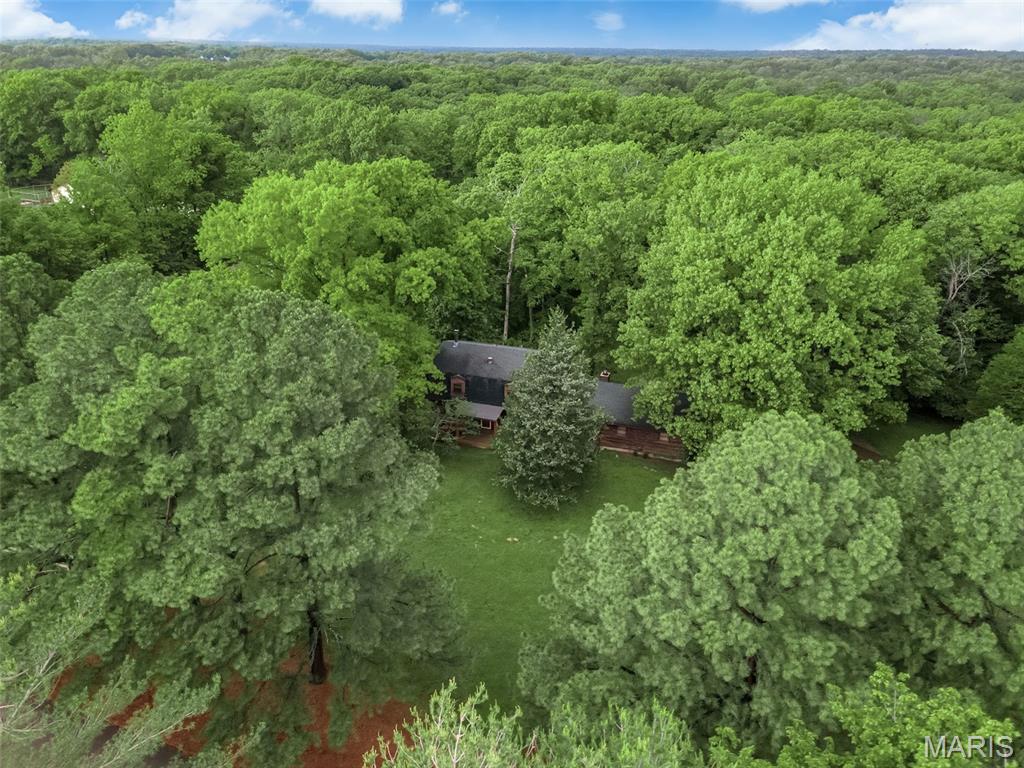 7 Wilderness Lane Defiance, MO 63341 - Photo 59 of 71