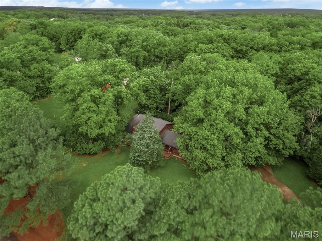 7 Wilderness Lane Defiance, MO 63341 - Photo 61 of 71