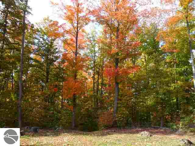 1293 West Sharon Road Fife Lake, MI 49633 - Photo 25 of 46 1740200-24.JPG