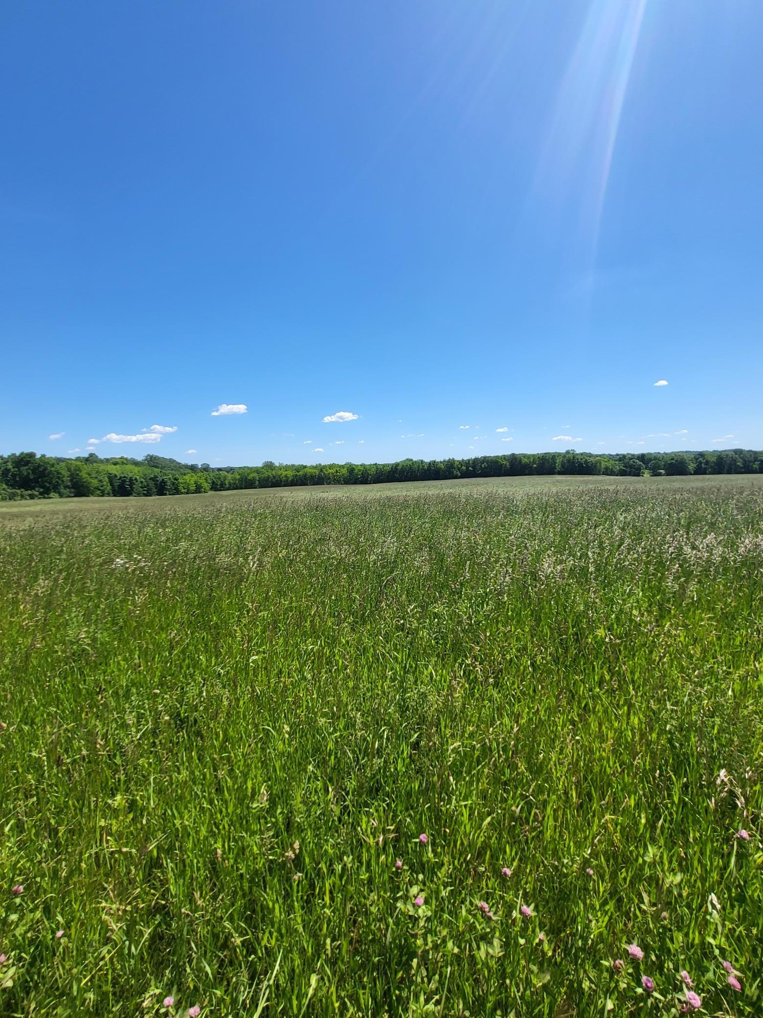 Xxx Nelson Road Maple Plain, MN 55359 - Photo 1 of 2
