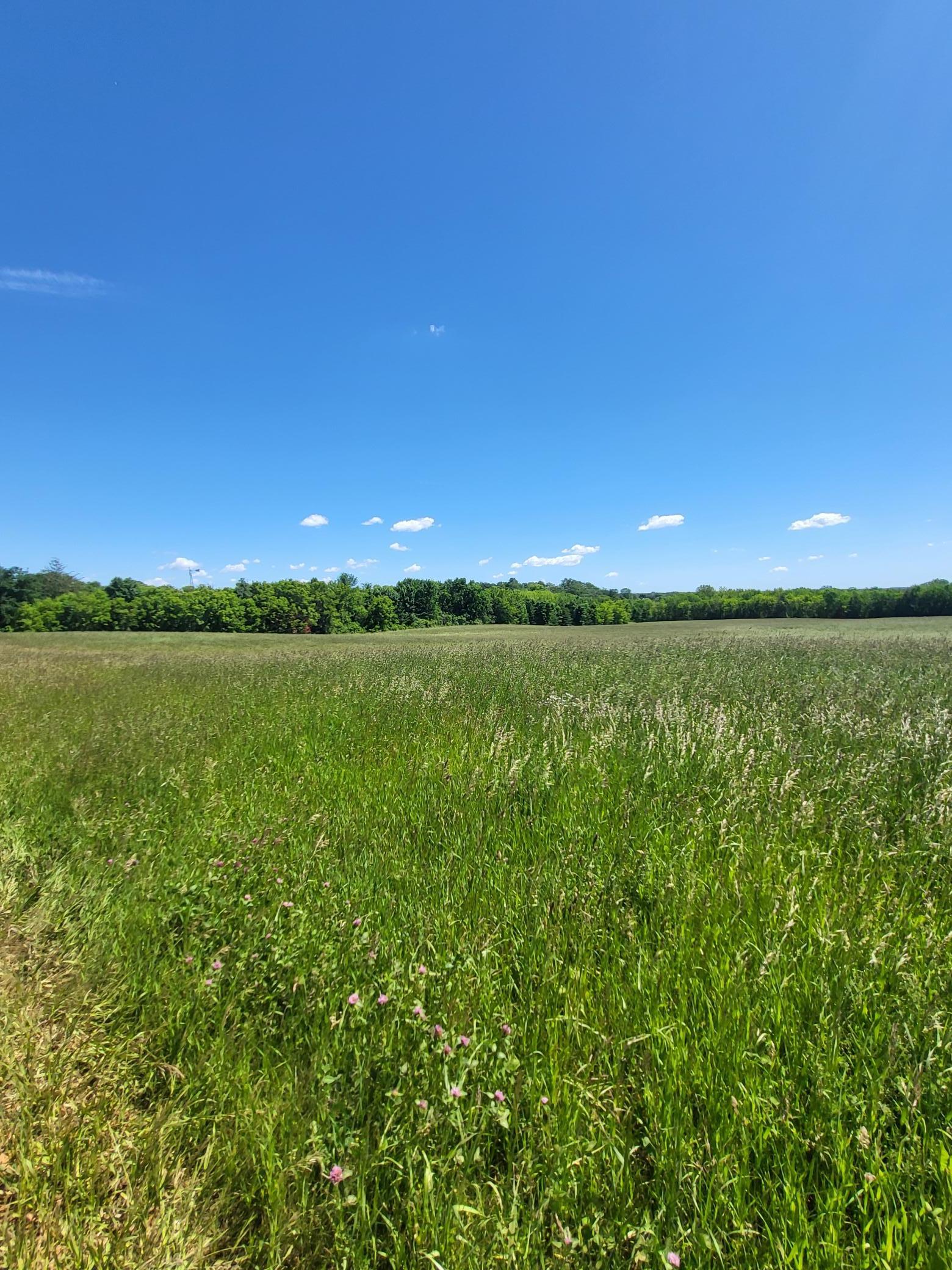 Xxx Nelson Road Maple Plain, MN 55359 - Photo 2 of 2