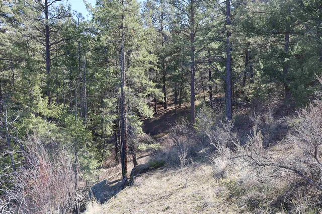 $149,000 | 21155 Lake Roosevelt Boulevard, Creston, WA 99117