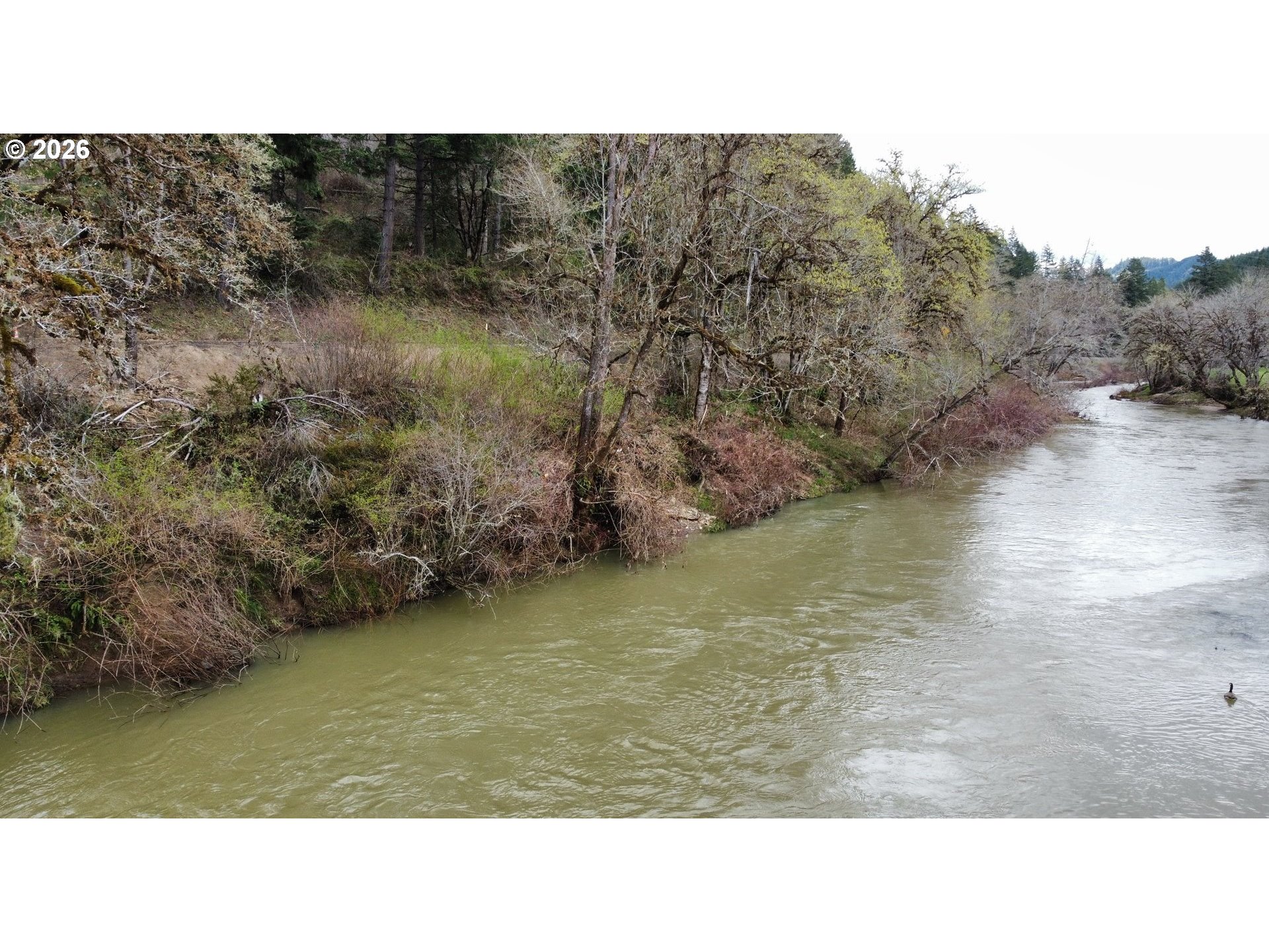 0 State Highway Drain, OR 97435 - Photo 8 of 17