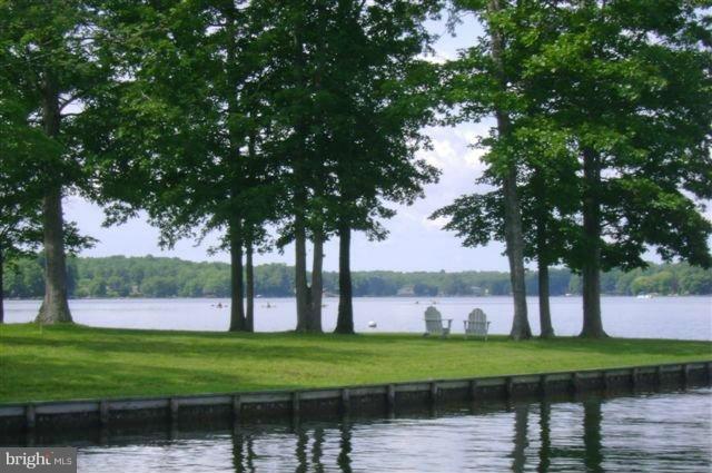 207 Battlefield Road Locust Grove, VA 22508 - Photo 28 of 30 Plenty of places to relax and enjoy a picnic!