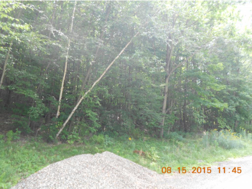 Tbd Sandgate Road West Rupert, VT 05776 - Photo 1 of 3 Gallery Image 1