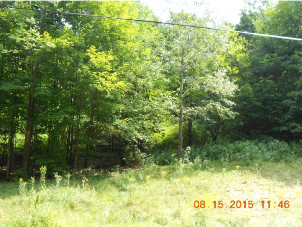 Tbd Sandgate Road West Rupert, VT 05776 - Photo 3 of 3 Gallery Image 3