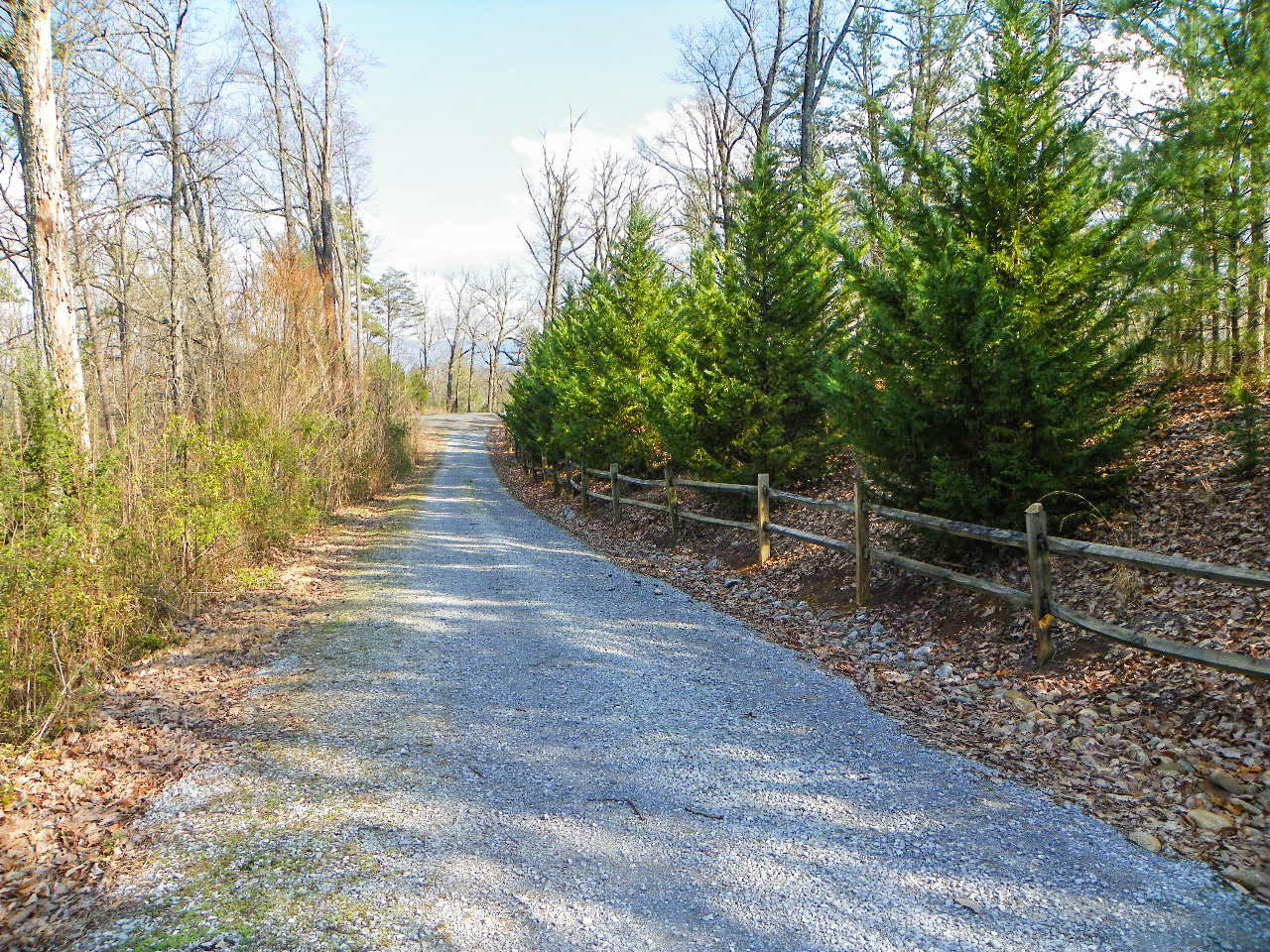 3741 Shadyview Ridge Road Sevierville, TN 37876 - Photo 36 of 36 102_8679