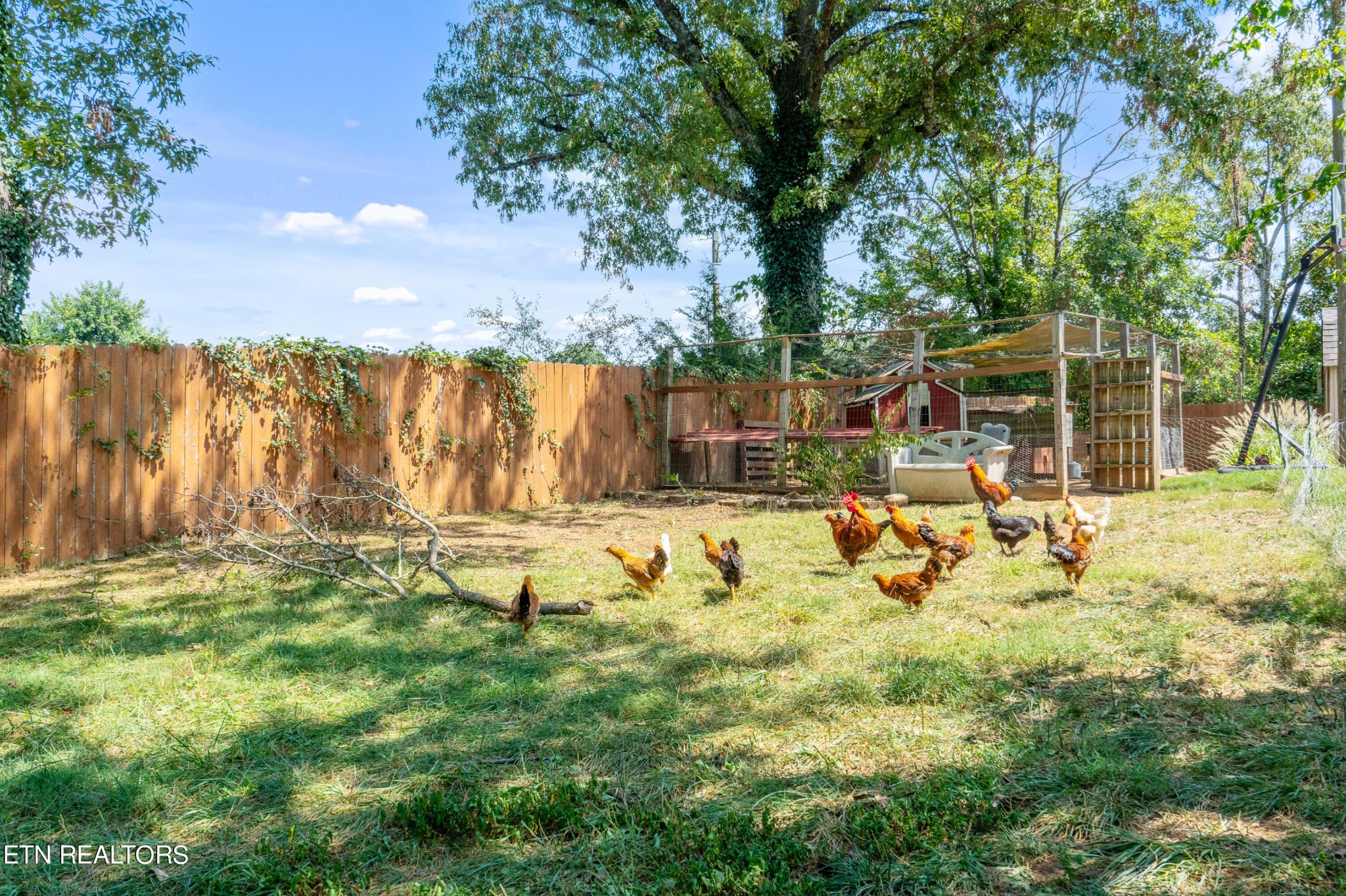 1553 Trigonia Road Maryville, TN 37801 - Photo 49 of 60 Gallery Image 49