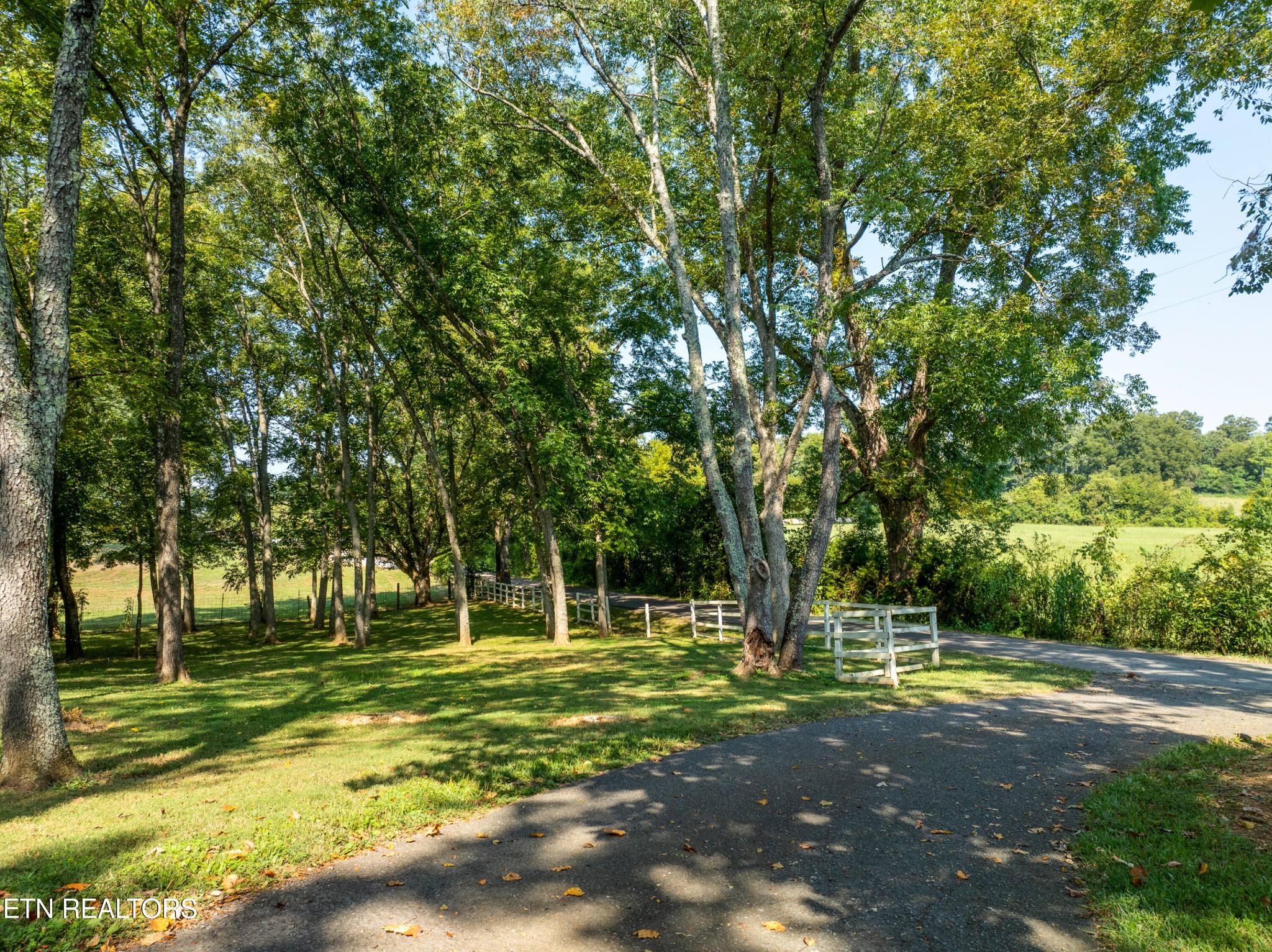 1553 Trigonia Road Maryville, TN 37801 - Photo 50 of 60 Gallery Image 50